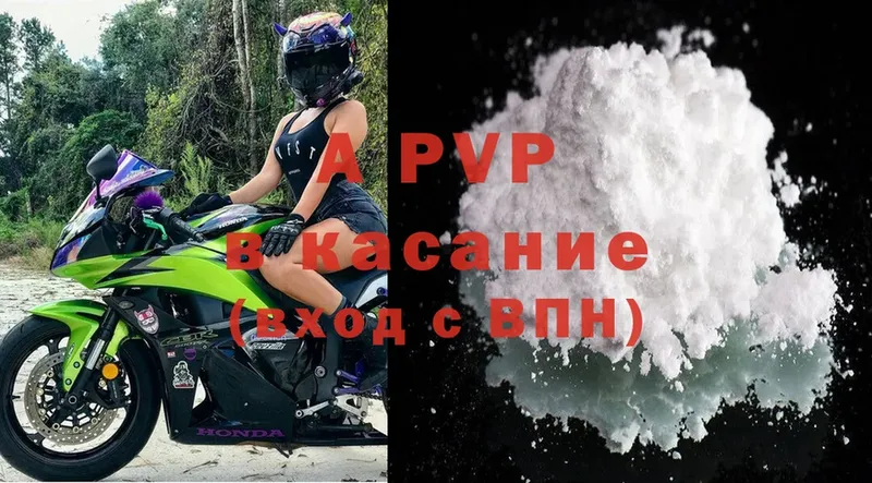 Alfa_PVP СК  Нерехта 